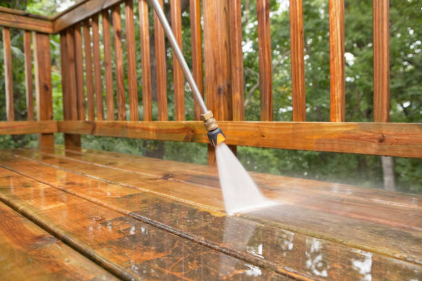 Best Roof Pressure Washing  in Sharon, MS